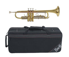 Load image into Gallery viewer, Vincent Bach TR650 Bb Trumpet