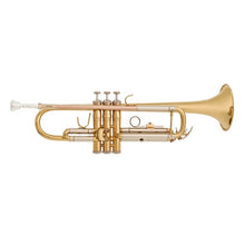 Load image into Gallery viewer, Vincent Bach TR650 Bb Trumpet