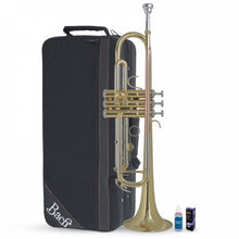 Load image into Gallery viewer, Vincent Bach TR650 Bb Trumpet