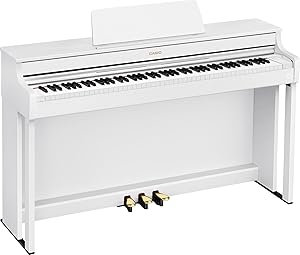 Casio AP-300WE