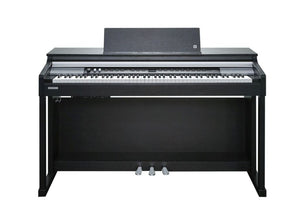 Kurzweil CUP-P1