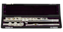 Load image into Gallery viewer, Armstrong FL650E Flute

