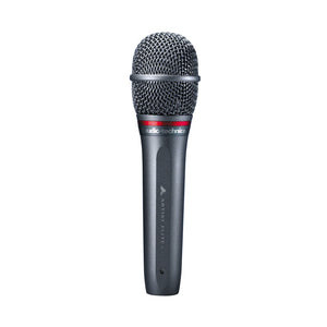 Audio-Technica AE6100 Microphone