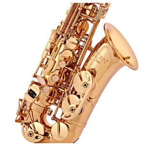 C.G.Conn AS650 Alto Saxophone Gold Lacquer