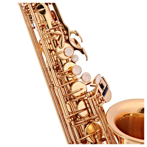 C.G.Conn AS650 Alto Saxophone Gold Lacquer